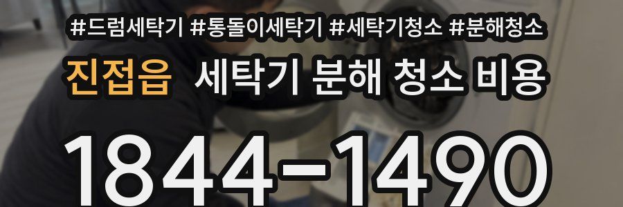 진접읍 세탁기 분해 청소 비용