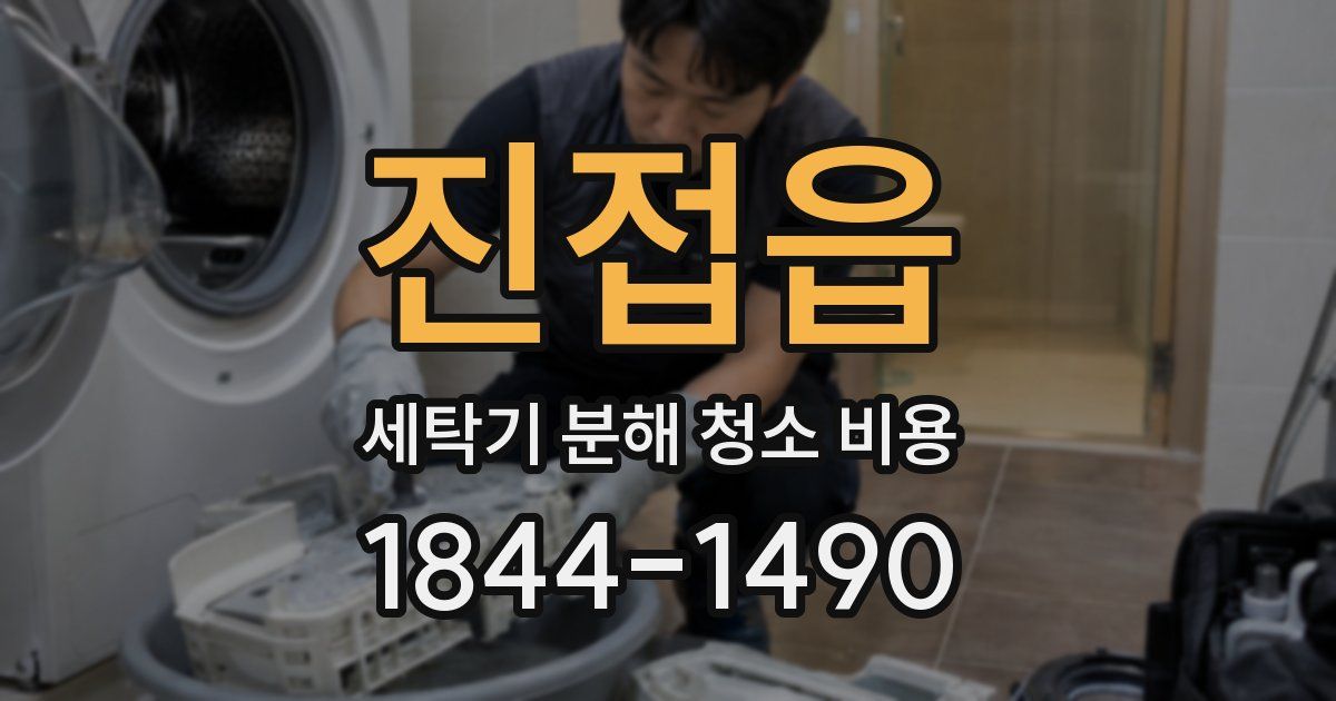 진접읍 세탁기 분해 청소 비용