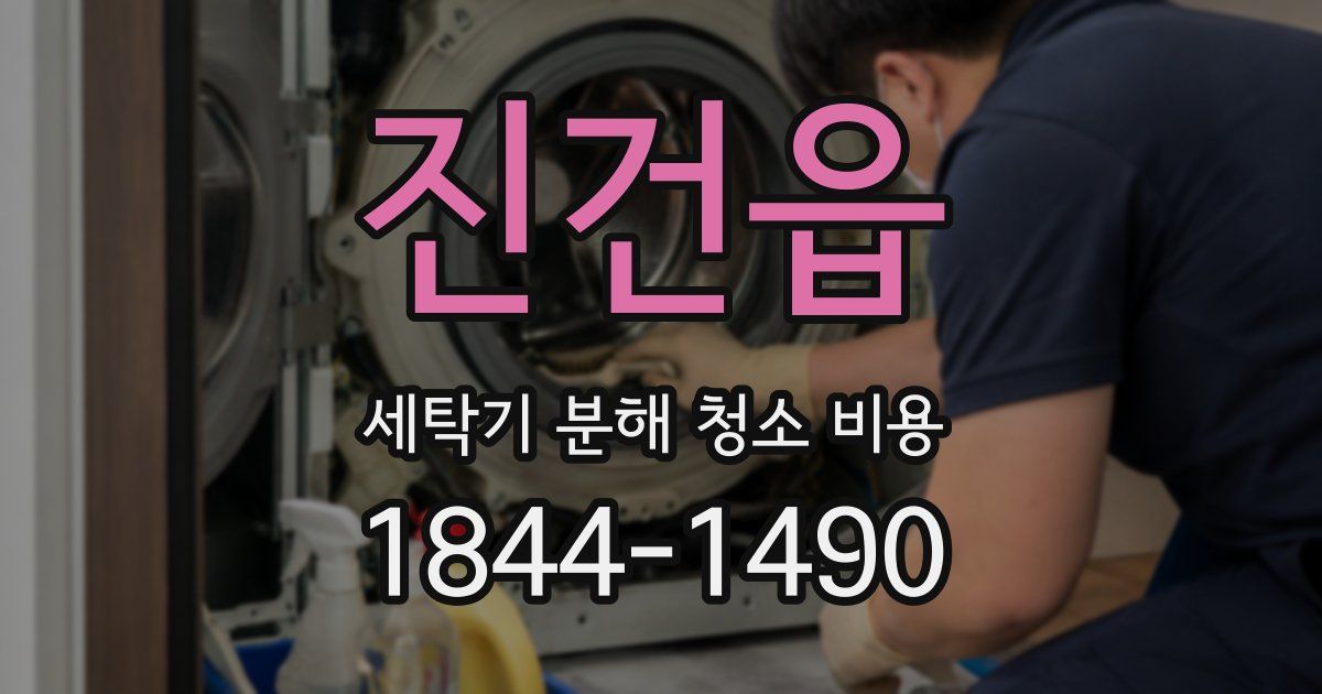 진건읍 세탁기 분해 청소 비용