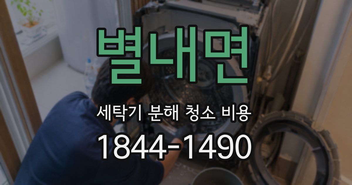 별내면 세탁기 분해 청소 비용
