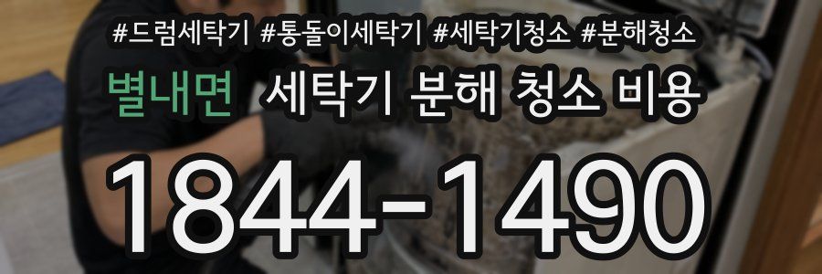 별내면 세탁기 분해 청소 비용