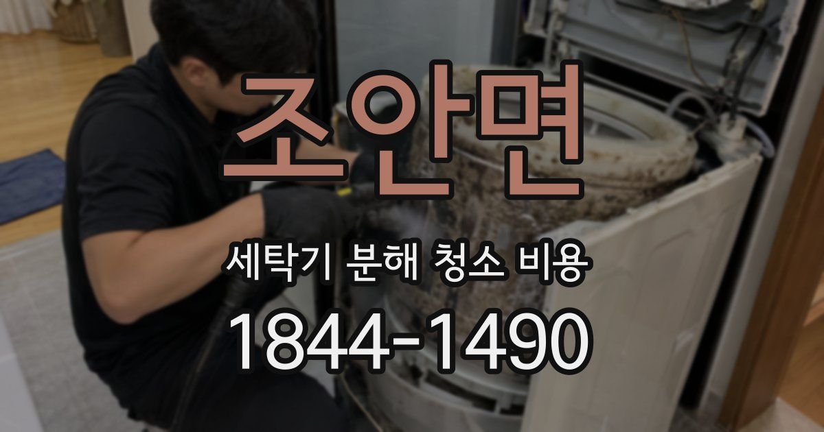 조안면 세탁기 분해 청소 비용