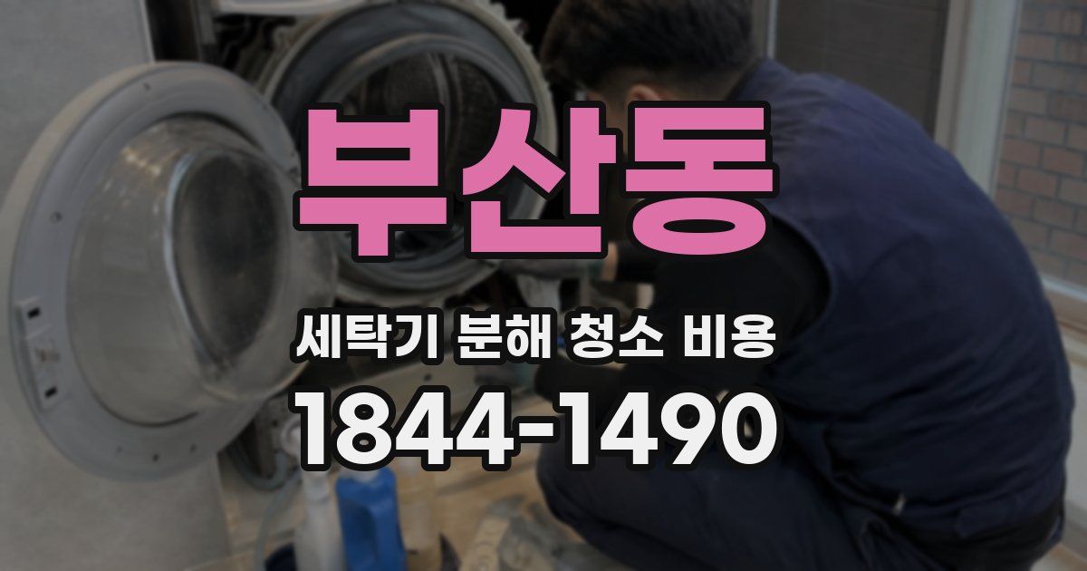 부산동 세탁기 분해 청소 비용