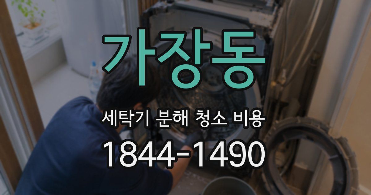가장동 세탁기 분해 청소 비용