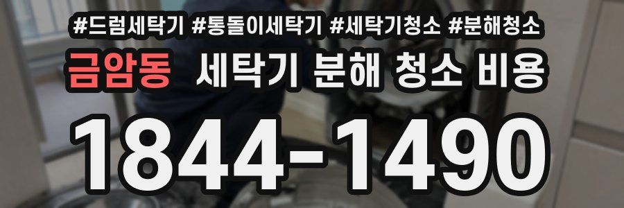 금암동 세탁기 분해 청소 비용