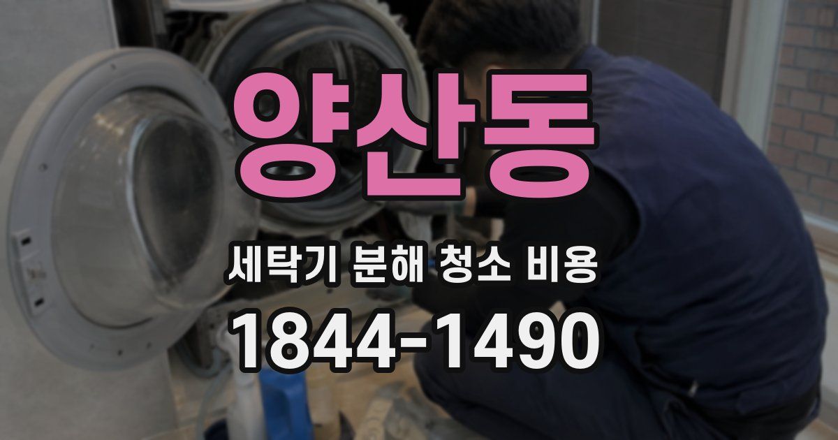 양산동 세탁기 분해 청소 비용