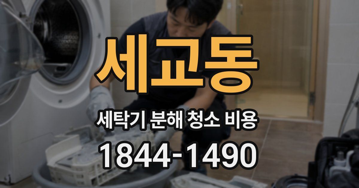 세교동 세탁기 분해 청소 비용