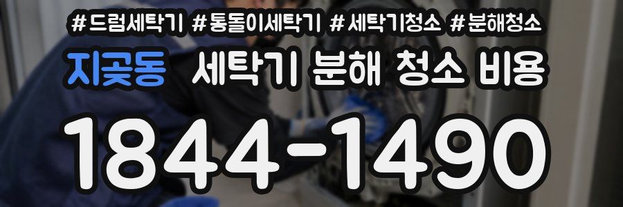 지곶동 세탁기 분해 청소 비용