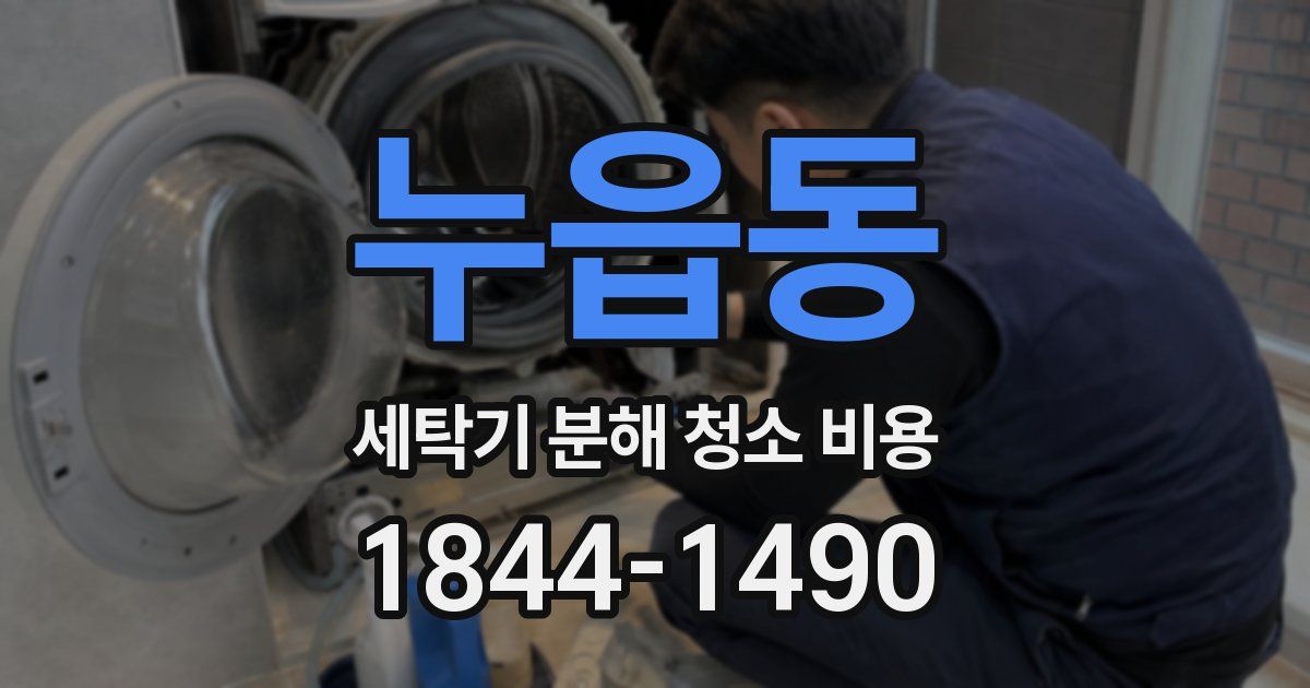 누읍동 세탁기 분해 청소 비용