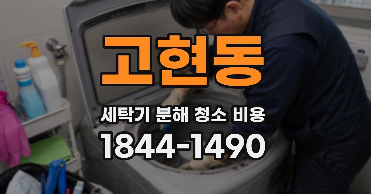 고현동 세탁기 분해 청소 비용