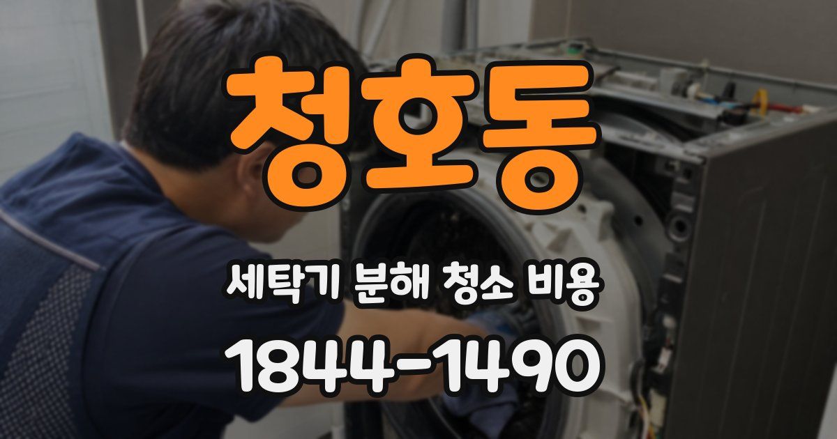 청호동 세탁기 분해 청소 비용