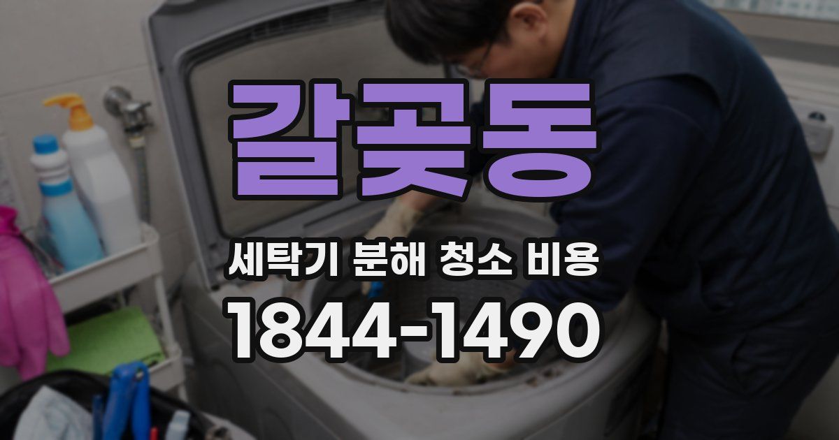 갈곶동 세탁기 분해 청소 비용