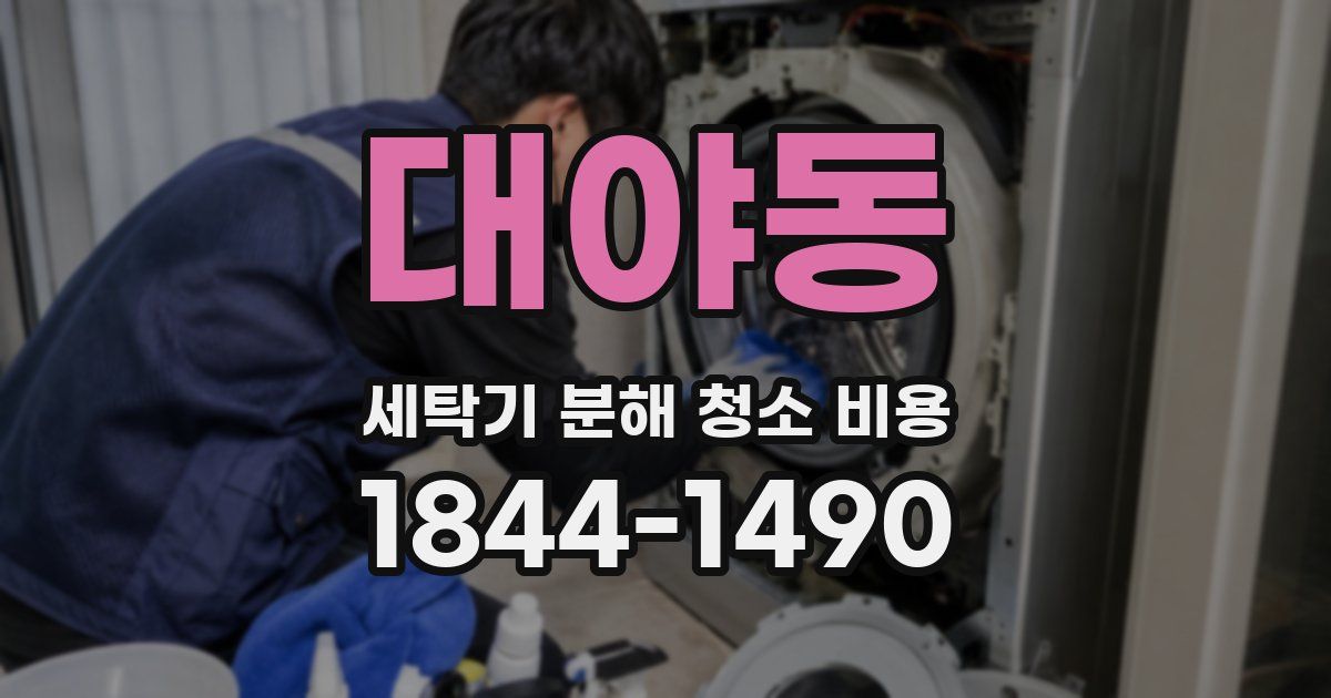 대야동 세탁기 분해 청소 비용