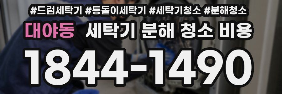 대야동 세탁기 분해 청소 비용