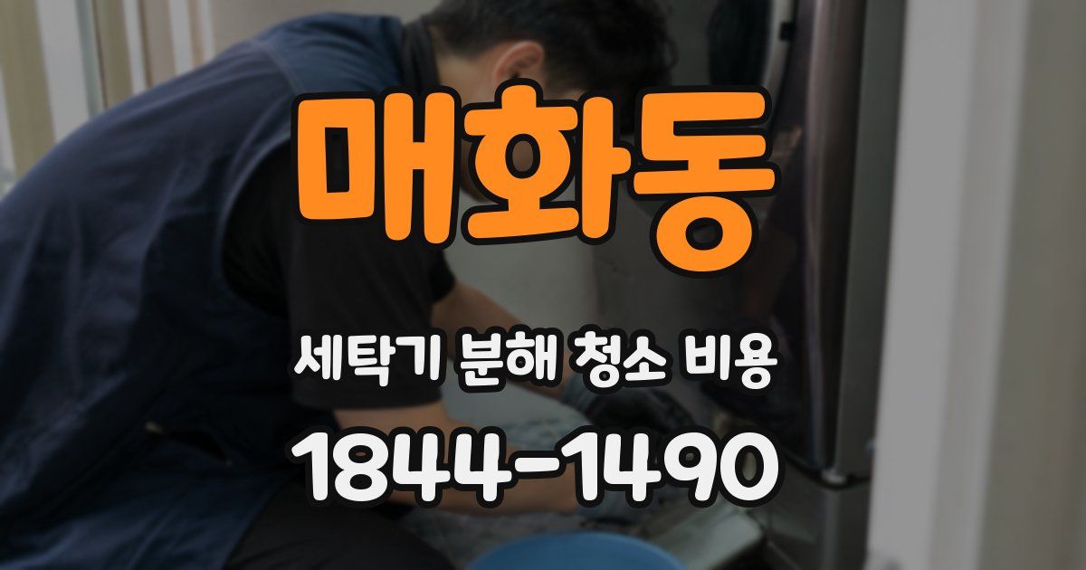 매화동 세탁기 분해 청소 비용