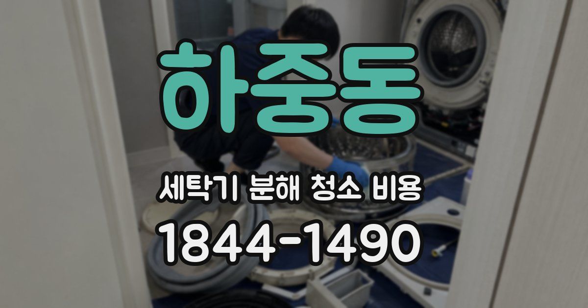 하중동 세탁기 분해 청소 비용