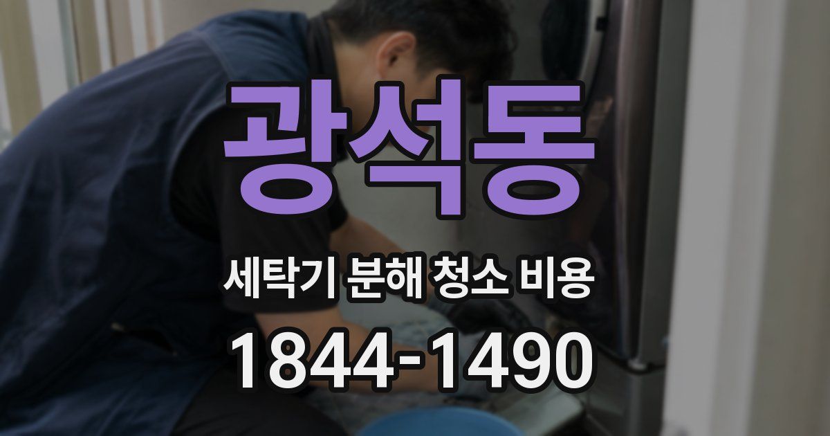 광석동 세탁기 분해 청소 비용