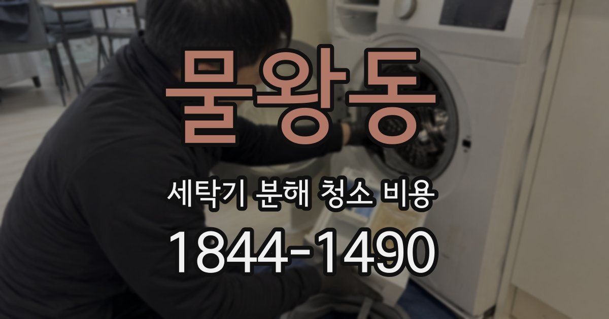 물왕동 세탁기 분해 청소 비용