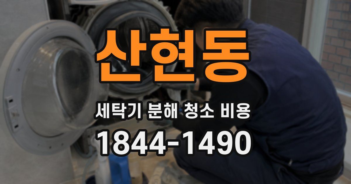 산현동 세탁기 분해 청소 비용