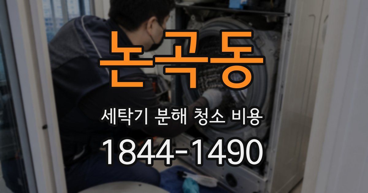 논곡동 세탁기 분해 청소 비용