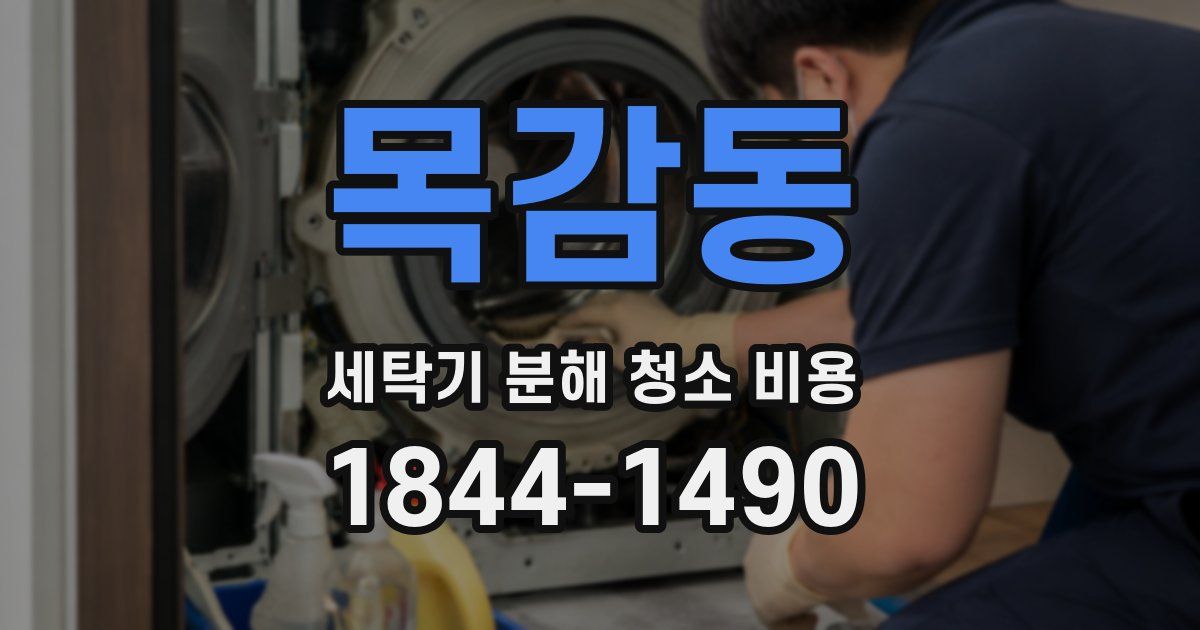 목감동 세탁기 분해 청소 비용