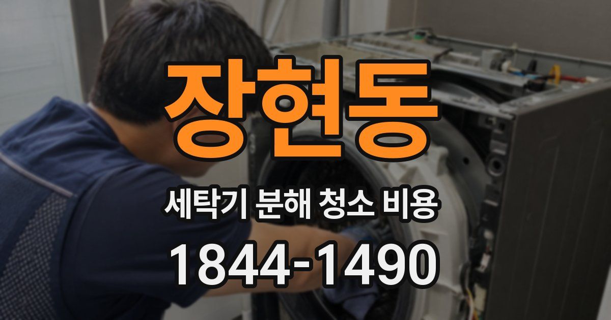 장현동 세탁기 분해 청소 비용