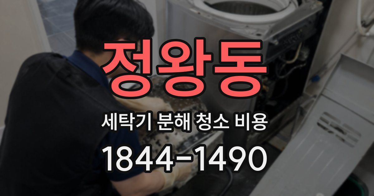 정왕동 세탁기 분해 청소 비용