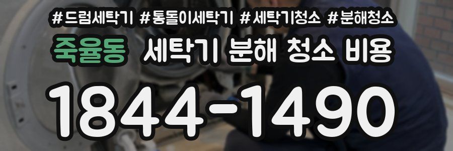 죽율동 세탁기 분해 청소 비용