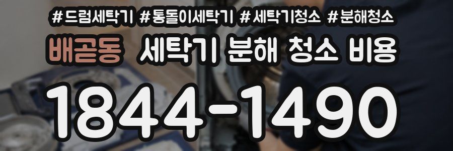 배곧동 세탁기 분해 청소 비용