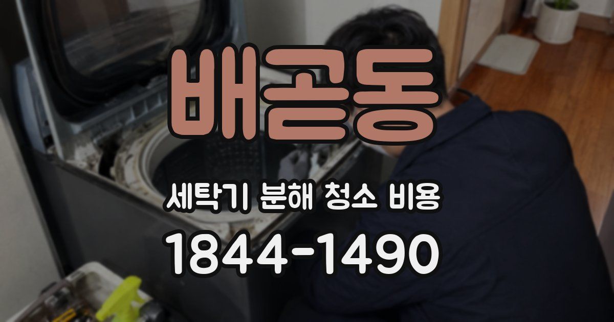 배곧동 세탁기 분해 청소 비용