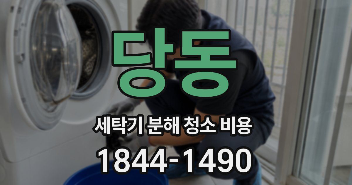 당동 세탁기 분해 청소 비용