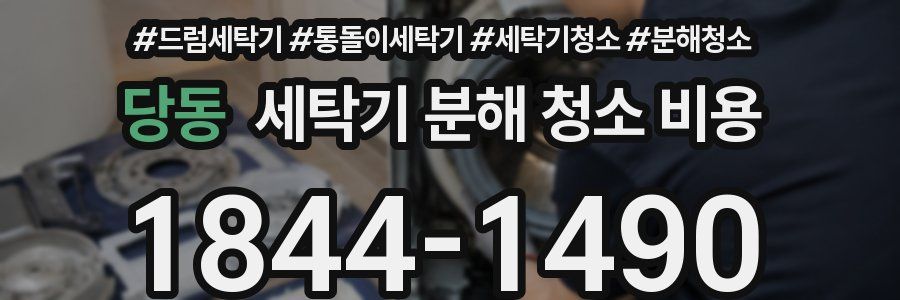 당동 세탁기 분해 청소 비용