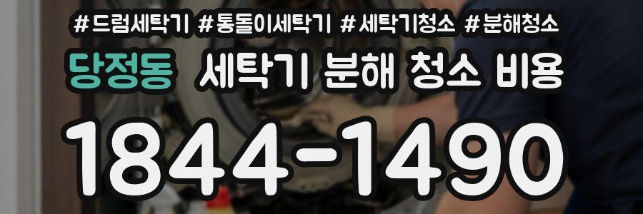 당정동 세탁기 분해 청소 비용