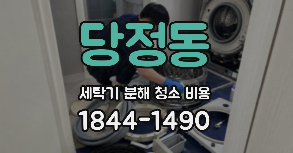 당정동 세탁기 분해 청소 비용