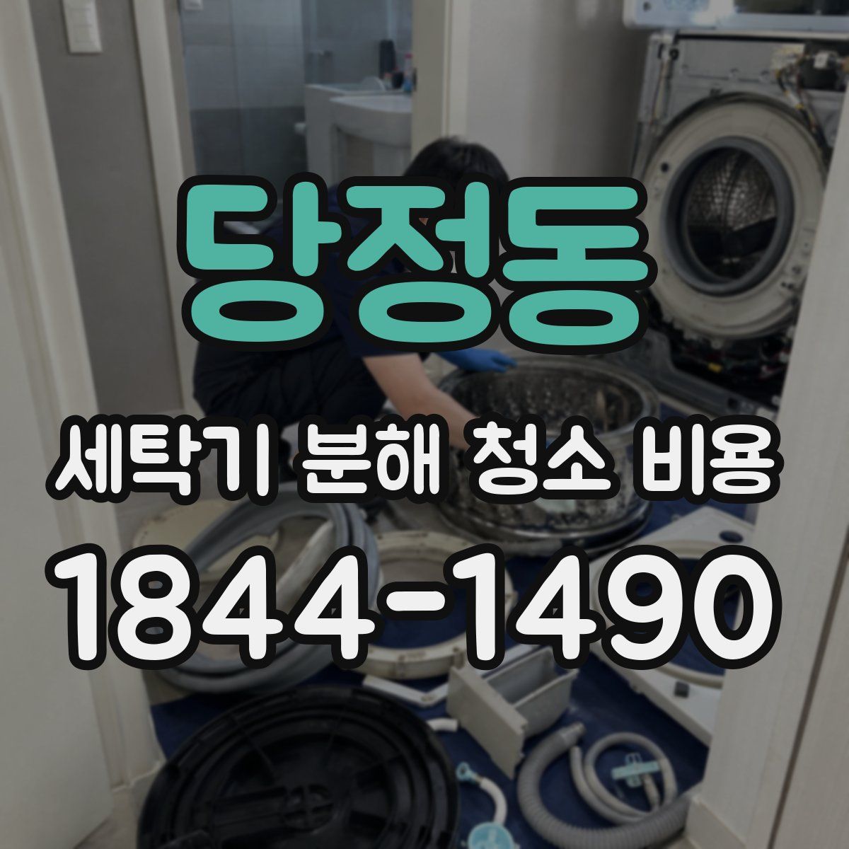 당정동 세탁기 분해 청소 비용