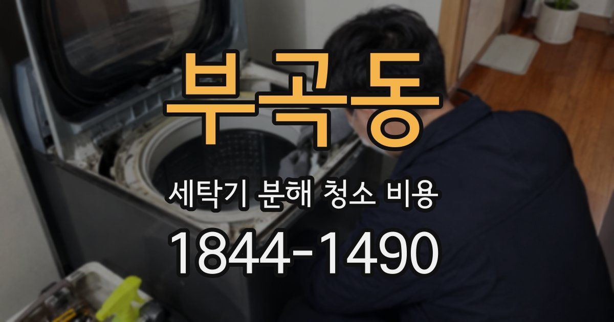 부곡동 세탁기 분해 청소 비용