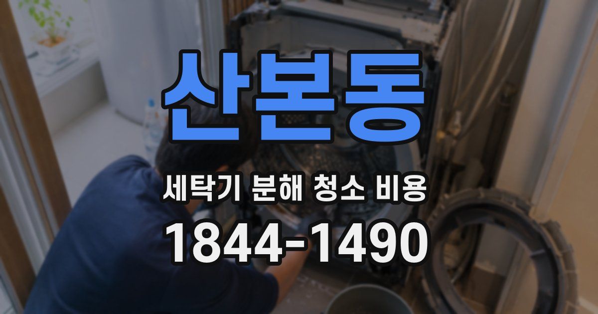 산본동 세탁기 분해 청소 비용