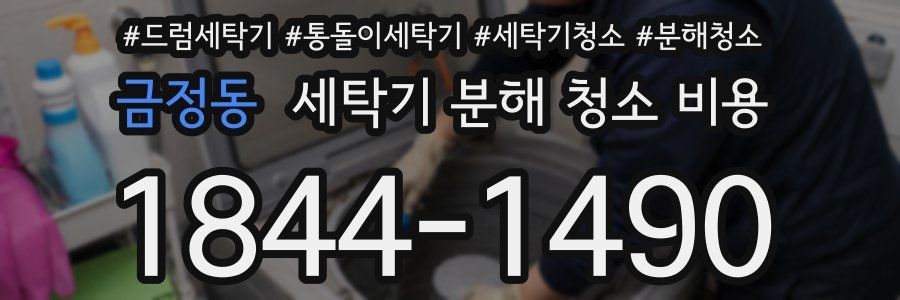 금정동 세탁기 분해 청소 비용