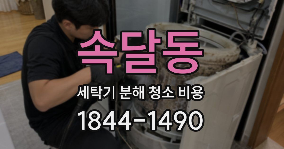 속달동 세탁기 분해 청소 비용