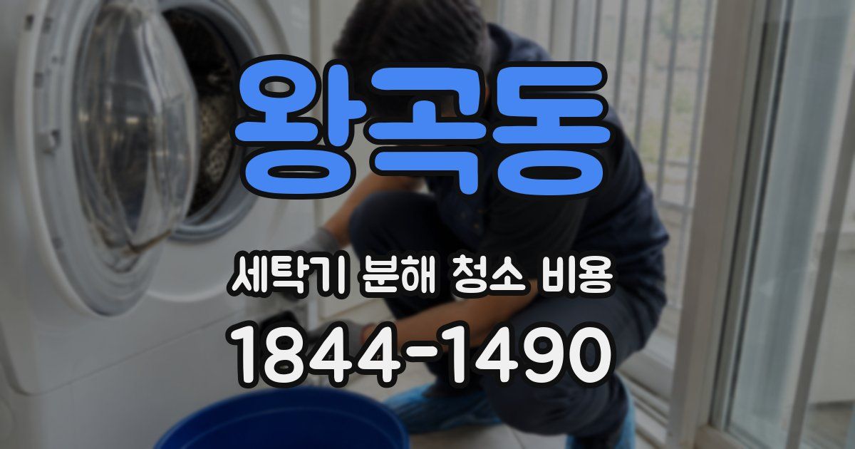 왕곡동 세탁기 분해 청소 비용
