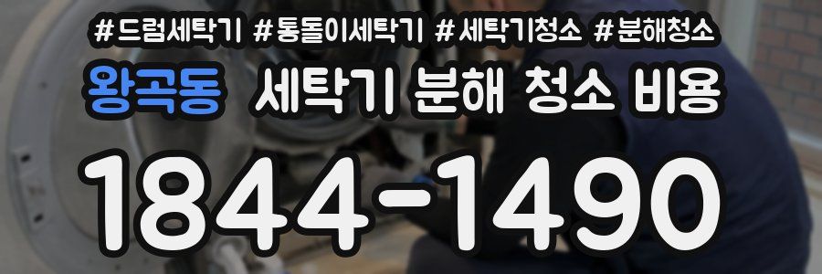 왕곡동 세탁기 분해 청소 비용
