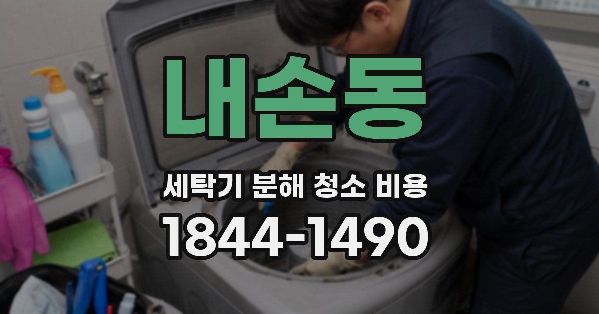 내손동 세탁기 분해 청소 비용