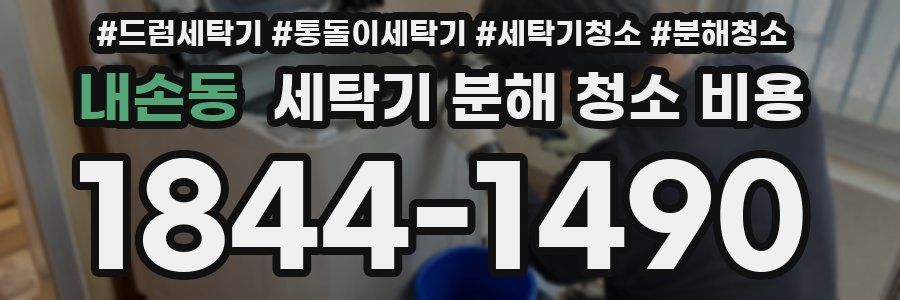 내손동 세탁기 분해 청소 비용