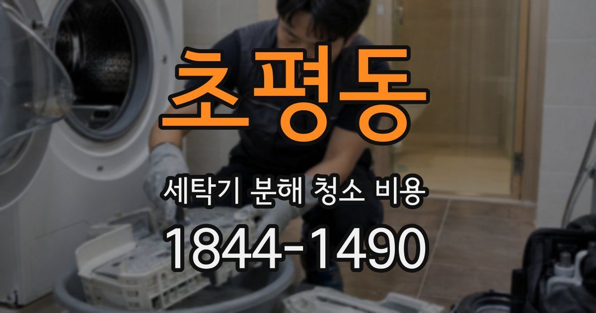 초평동 세탁기 분해 청소 비용