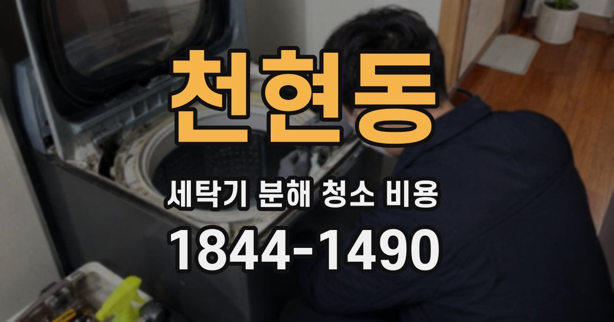천현동 세탁기 분해 청소 비용