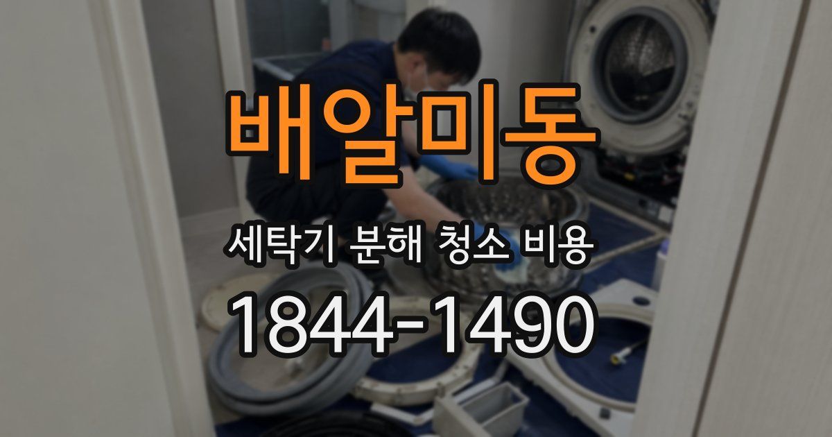 배알미동 세탁기 분해 청소 비용