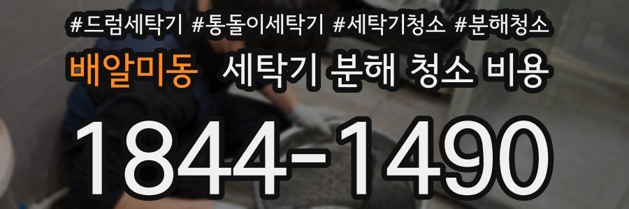 배알미동 세탁기 분해 청소 비용