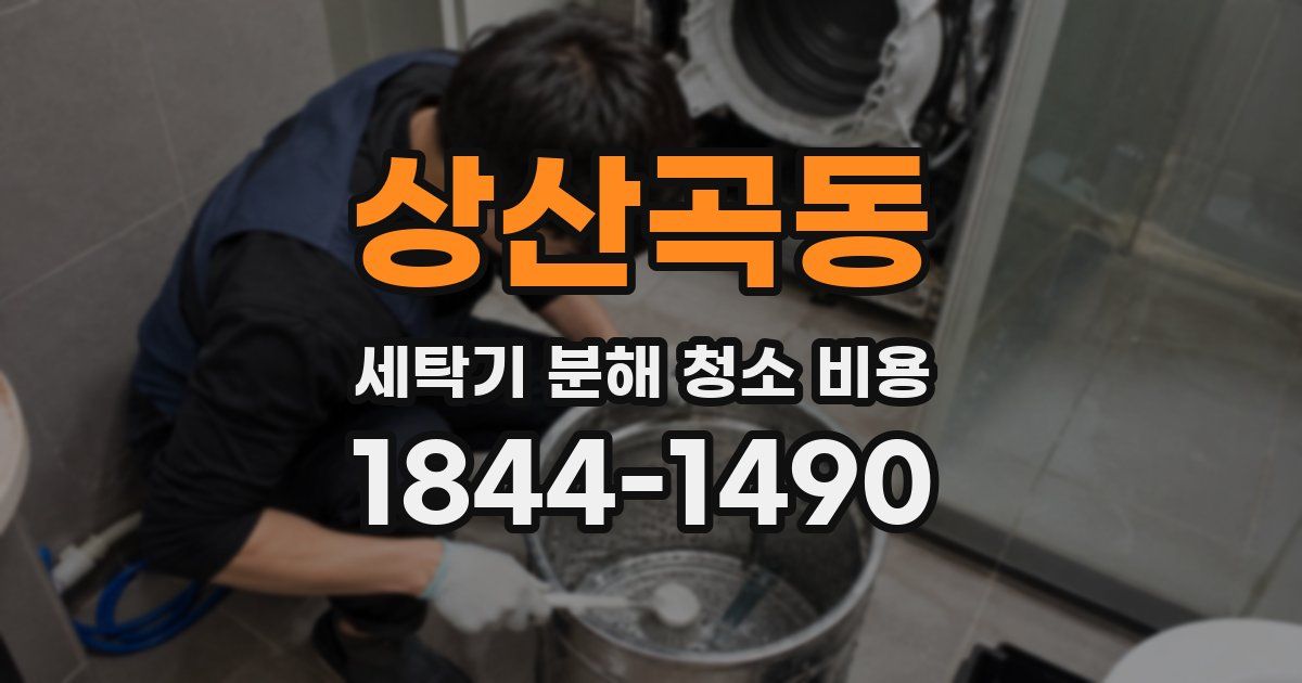 상산곡동 세탁기 분해 청소 비용