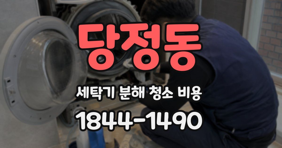 당정동 세탁기 분해 청소 비용