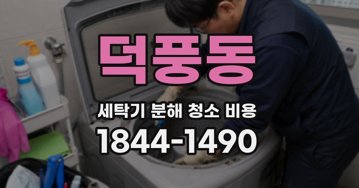 덕풍동 세탁기 분해 청소 비용